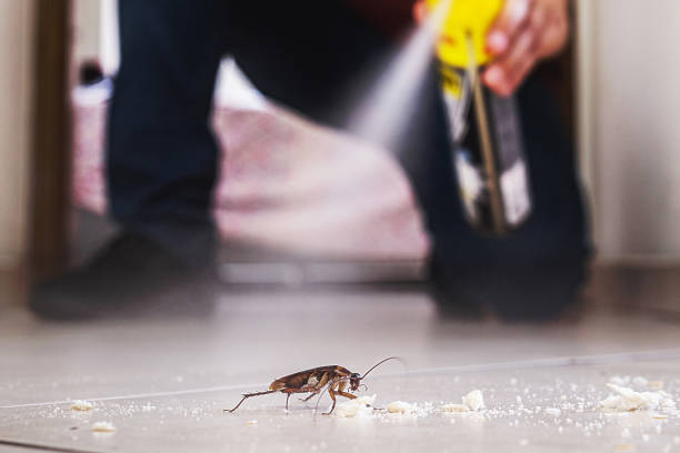Stoughton, WI Pest Control Company