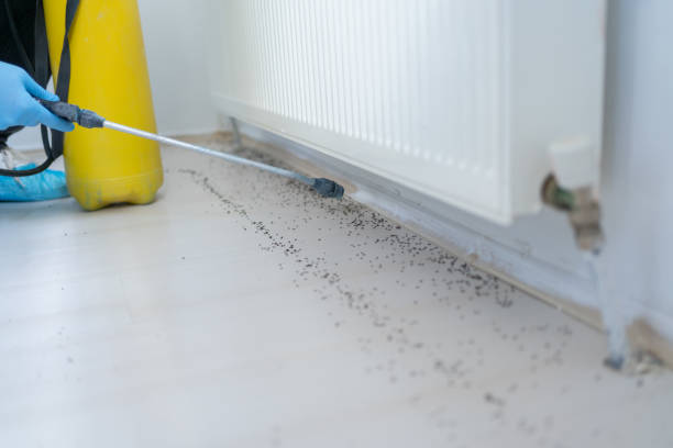 Best Pest Removal Services  in Stoughton, WI