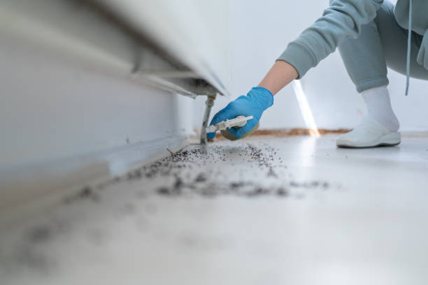 Best Affordable Pest Control Services  in Stoughton, WI